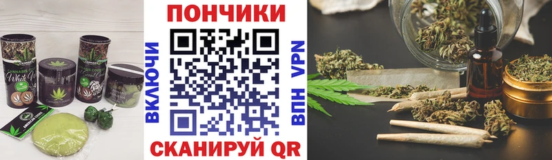 где купить наркоту  Ставрополь  omg ссылка  мориарти Telegram  Cannafood марихуана 