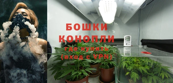 ешки Богородск