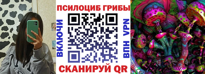 дарк нет какой сайт  Ставрополь  Галлюциногенные грибы Cubensis  наркошоп 